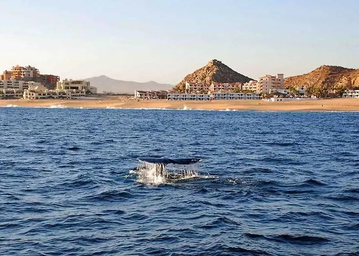 Holiday home Hyatt Sirena Del Mar 2bd El Pueblito (Baja California Sur)
